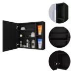 Myrick 2-Shelf Medicine Cabinet with Mirror Black Wengue