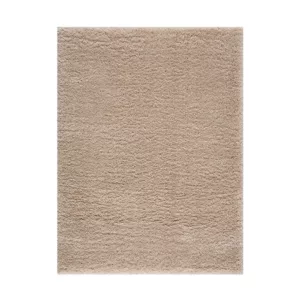 Camdyn Super Soft Polyester Shag Area Rug
