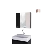 Sines Medicine Cabinet with Four Internal Shelves and Double Door -Black