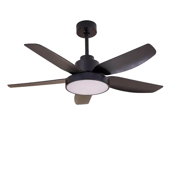 ALUOCYI 46 Inch Ceiling Fan with Light and Remote Control Black, Flush Mount Ceiling Fan with 3 Color Light, 5 Blades, 6 Speeds, Noiseless Reversible Motor for Bedroom, Living Room, Indoor or Outdoor