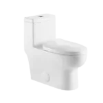 1-Piece Dual Flush Eco Friendly Toilet in White