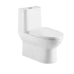1-Piece Ceramic Dual Flush Elongated Toilet in White