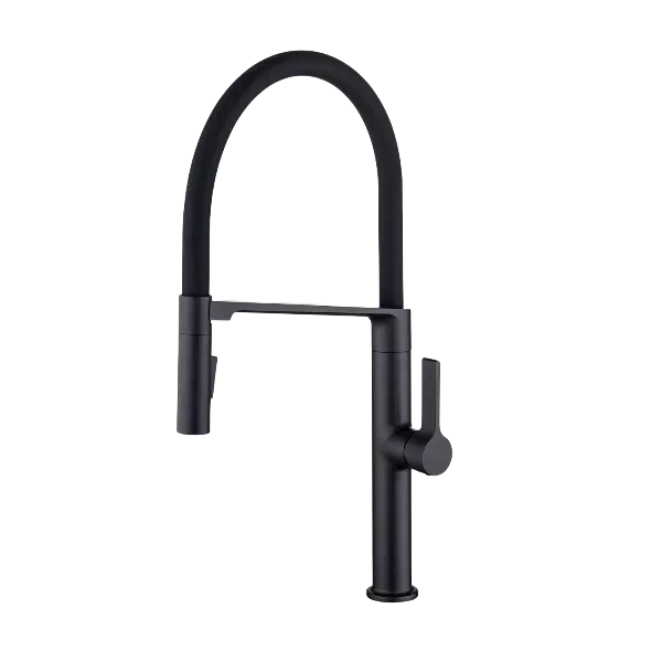 Single-Handle 2-Spray Pull-Down Kitchen Faucet With Two Functional Sprayer in Matte Black