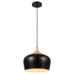 Pendant Light Industrial Ceiling Hanging Lamp , Metal Dome Ceiling Lights Fixture 11.8 Inch Adjustable Height For Indoor