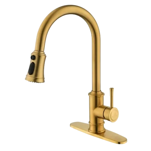 Kitchen Faucet with Pull Out Sprayer