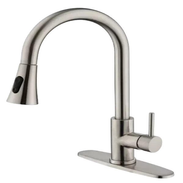 Kitchen Faucet with Pull Out Sprayer