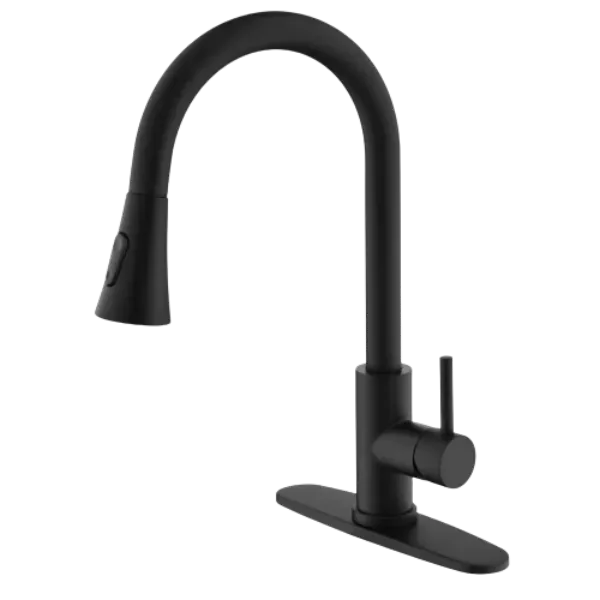 Kitchen Faucet with Pull Out Sprayer