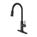 Kitchen Faucet with Pull Out Sprayer