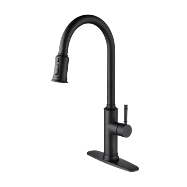 Kitchen Faucet with Pull Out Sprayer