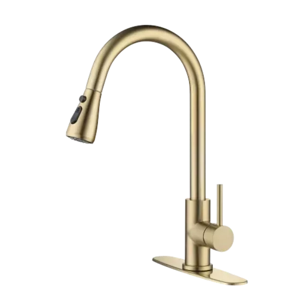 Kitchen Faucet with Pull Out Spraye