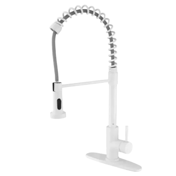 Kitchen Faucet with Pull Out Spraye