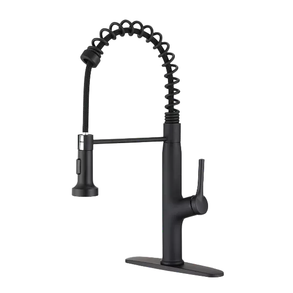 Pull Out Single handle Kitchen Faucet in Matte Black