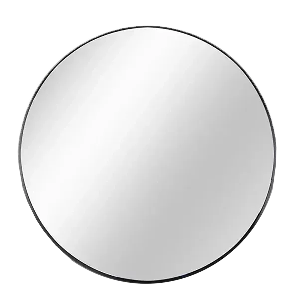 30 in. W x 30 in. H Black Round Brushed Aluminum Frame Wall Mirror